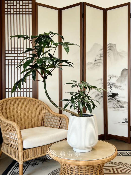 竖纹盆造型台面保罗 商品图1