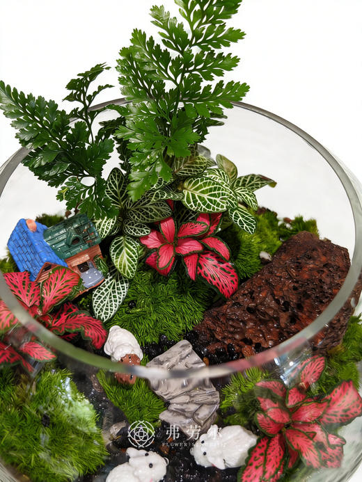 圆形微景观（小） 商品图1