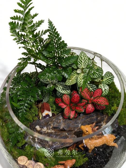 圆形微景观（小） 商品图1