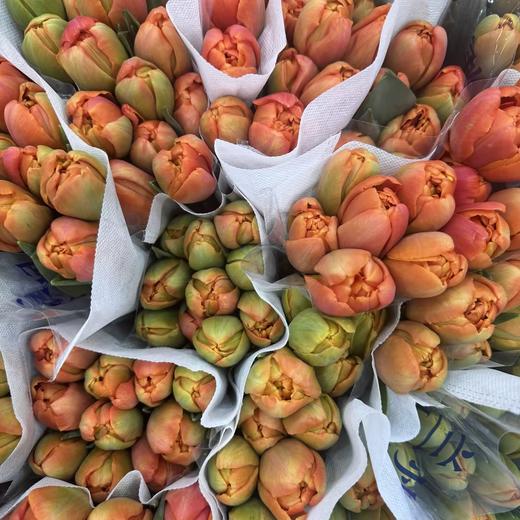 基地直营-国产郁金香-重瓣橘色-10支 商品图0