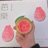 福建·「南食记」空运 红芯芭乐 整件 约2.25kg 商品缩略图2