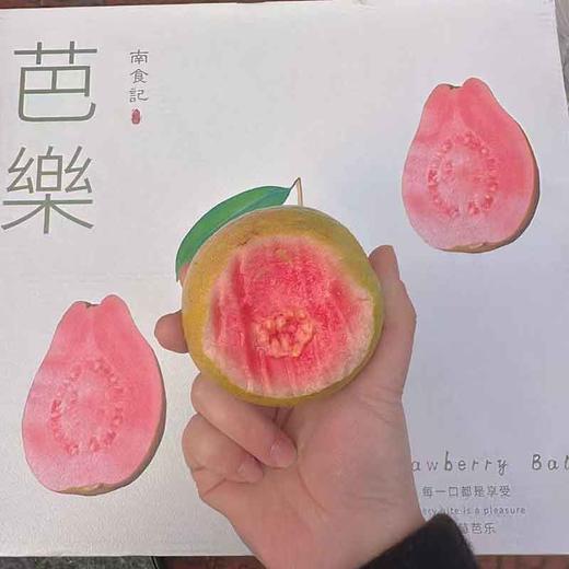 福建·「南食记」空运 红芯芭乐 整件 约2.25kg 商品图2