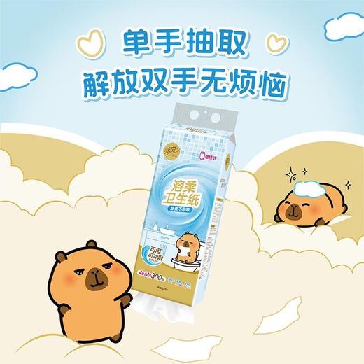清风悬挂式抽纸可溶性卫生纸 4层M码300抽  1提 商品图4