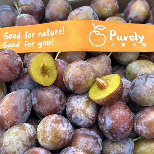 智利🇨🇱2J「西梅」 1kg 商品图6