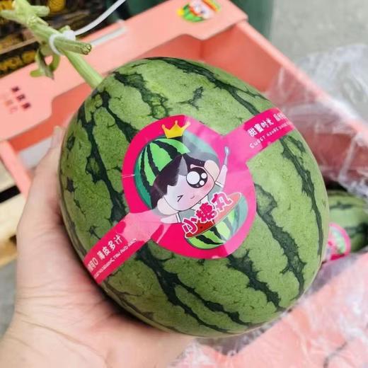 小糖丸 商品图0