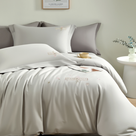 杉杉家纺雅悦精梳棉绣花四件套QFS- 25021