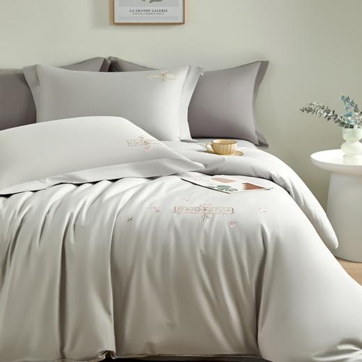 杉杉家纺雅悦精梳棉绣花四件套QFS- 25021 商品图0