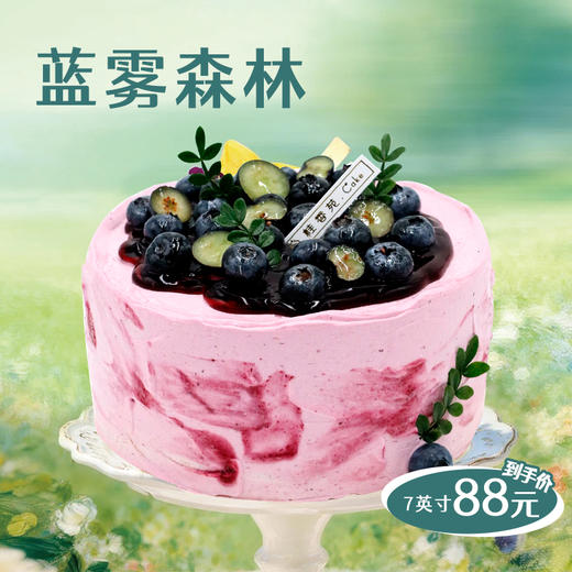 【春日限定立减30元】蓝雾森林 商品图0