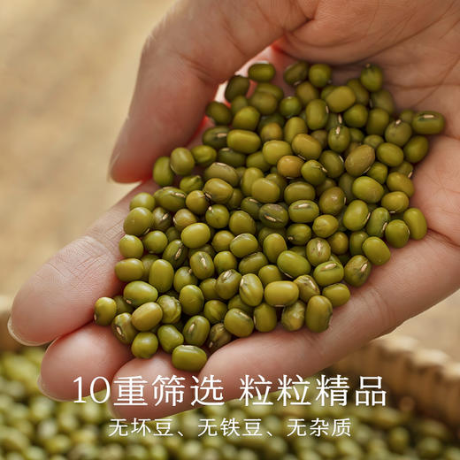 南食召 绿豆 商品图3