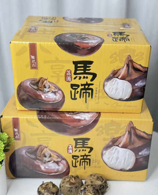 脆吉吉马蹄  产地直供 更甜的大荸荠 商品图1