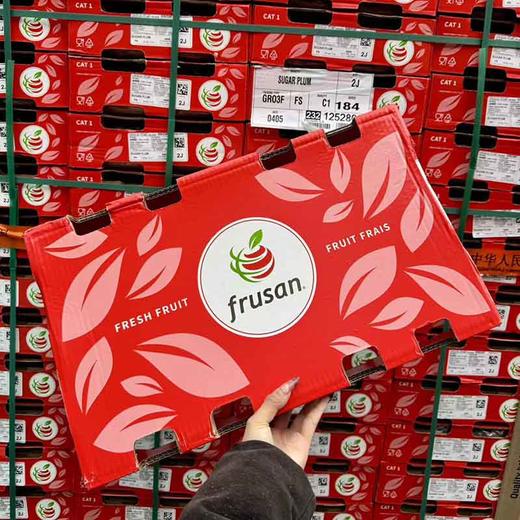 智利🇨🇱2J「西梅」 1kg 商品图7