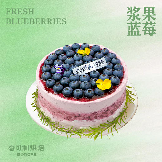 浆果蓝莓 商品图0