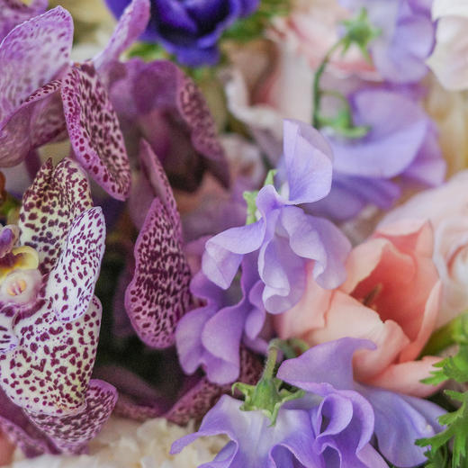 雾梦轻舞 Älvdans 商品图4