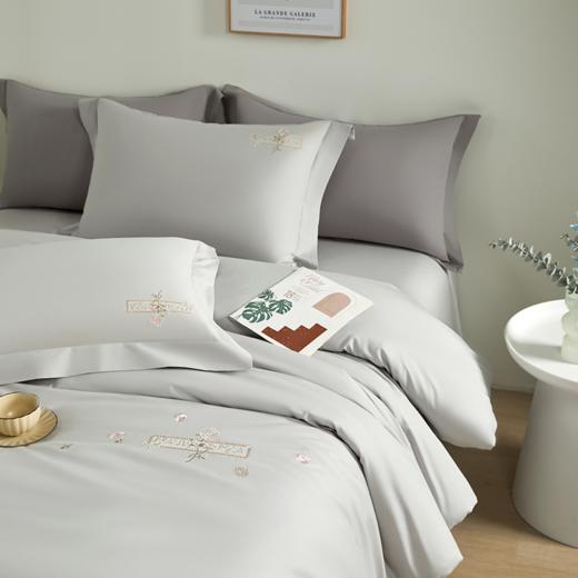 杉杉家纺雅悦精梳棉绣花四件套QFS- 25021 商品图1