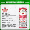 青岛啤酒白啤玫瑰红330ml*24听纤体罐啤    商品缩略图1