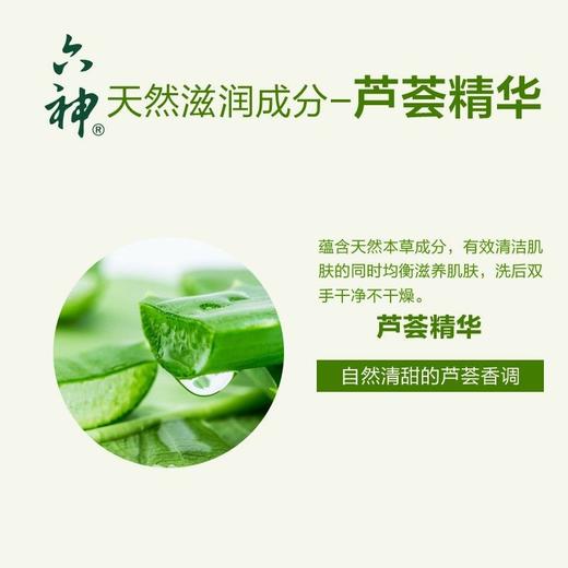 六神滋润洗手液易冲洗（芦荟）500ml/瓶 商品图3