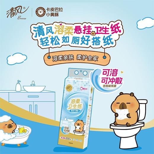 清风悬挂式抽纸可溶性卫生纸 4层M码300抽  1提 商品图5