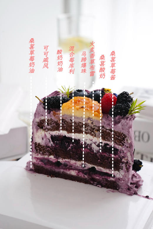 酸奶桑葚Flavor 商品图1