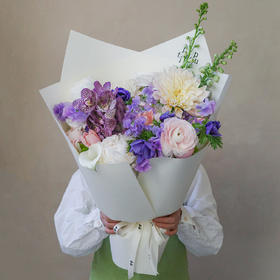 雾梦轻舞 Älvdans