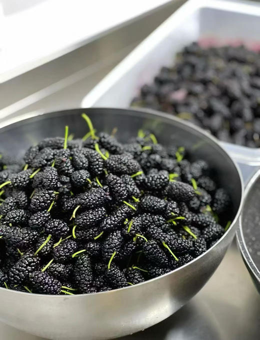 桑葚莓莓 商品图4