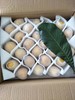 莆田枇杷—白梨枇杷 商品缩略图5