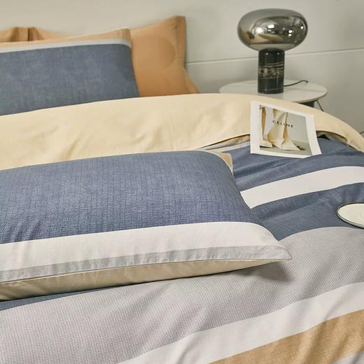 杉杉家纺优居生活纯棉四件套-静雅格韵QFS-20242 商品图3