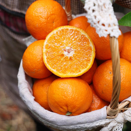 云南红河谷花香蜜柑 商品图2