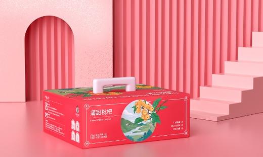 莆田枇杷—白梨枇杷 商品图6