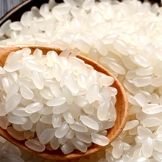 牌可赞黄金产地稻香米【25kg】 商品图2