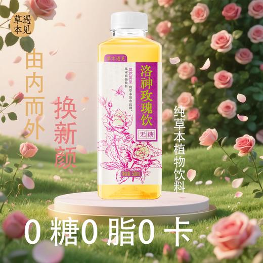 草本遇见洛神玫瑰饮无糖500ml*20瓶 商品图2