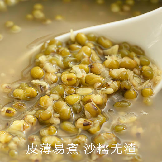 南食召 绿豆 商品图2