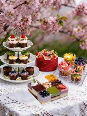 50人套餐：5磅浆果地+九宫格慕斯杯+轻蛋糕+春果集