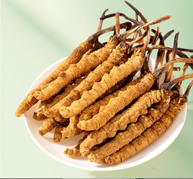 国坤堂 西藏那曲虫草贵系礼盒