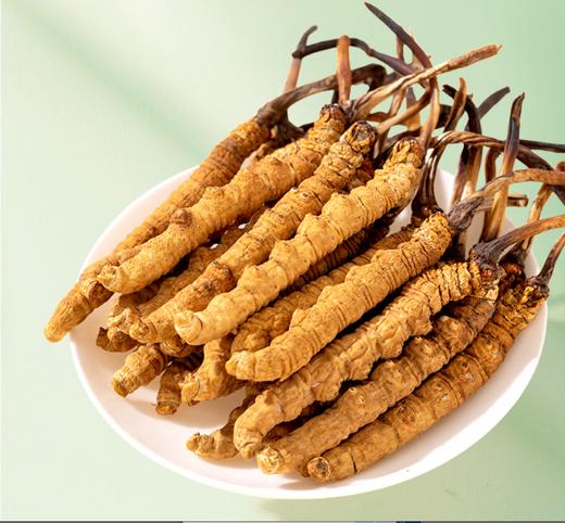 国坤堂 西藏那曲虫草贵系礼盒 商品图0