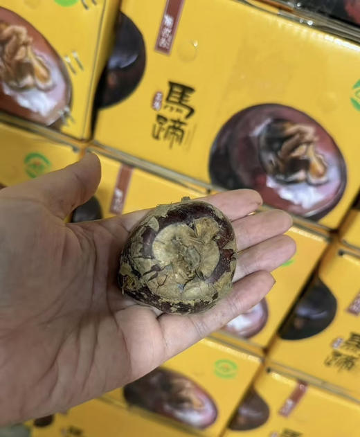 脆吉吉马蹄  产地直供 更甜的大荸荠 商品图2