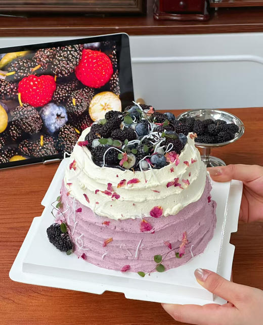 桑葚莓莓 商品图2