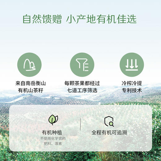 有机山茶油500ml【产地直发】@禾然 商品图2