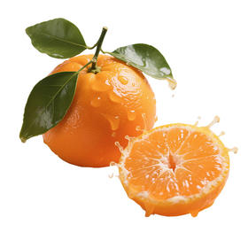 云南红河谷花香蜜柑