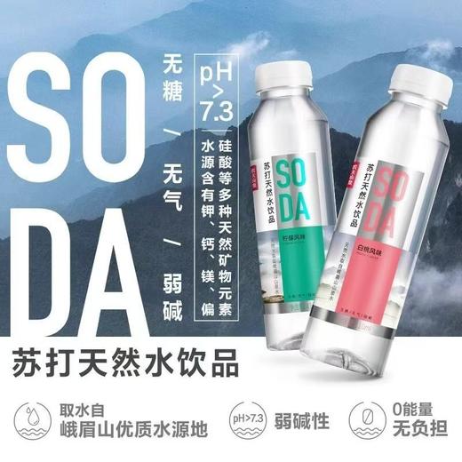 【农夫山泉】无糖弱碱苏打水410ml*15瓶/箱【FY】】 商品图1