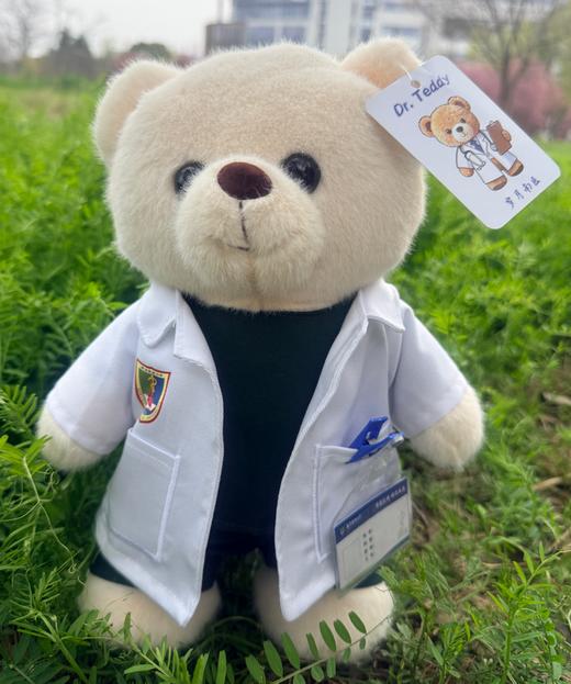 医生公仔小熊 商品图1
