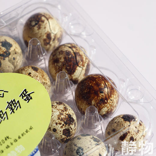 生态鹌鹑蛋20枚装｜绿手指农园 商品图4
