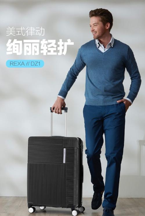 【1件包邮】新秀丽拉杆箱DZ1/20英寸 简约设计，时尚出行甘肃/青海/内蒙古/新疆/西藏/宁夏/海南/港澳台不发货 商品图0