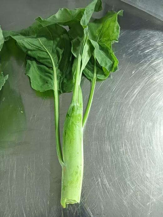 生态芥蓝（鸡腿芥蓝） | 绿家自产* Ecological Cabbage mustard | In-House Production 商品图2