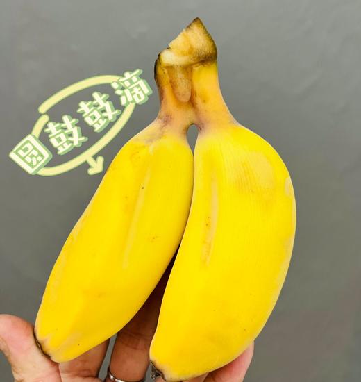 严选 | 福建漳州苹果蕉 产地直采 软糯香甜 口感丰富 商品图2