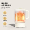 HYUNDAI便携式电热水壶APL-0601 商品缩略图4