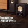 普乐之声（polk）ES10 200W家庭影院音箱 家用客厅有源低音炮10英寸长冲程超低音 黑色 商品缩略图4