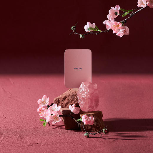 飞利浦無事能量礼盒DLP9502B/93 商品图3