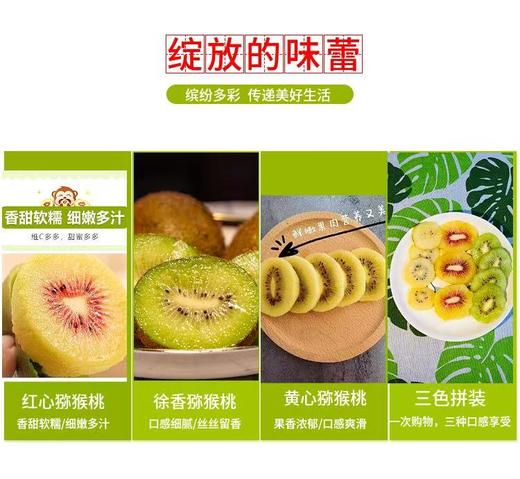 三色猕猴桃 商品图1