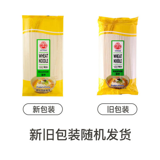 【自提】M 不倒翁韩国进口小麦面条1.5kg 商品图6