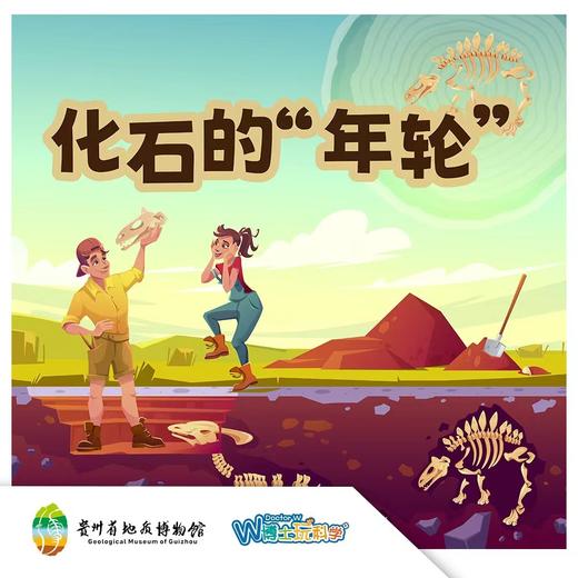 化石的年轮 商品图0